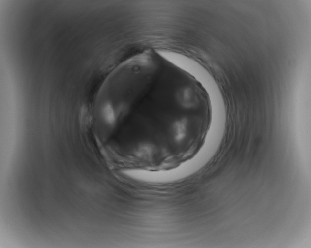 X0000115160471200911241552