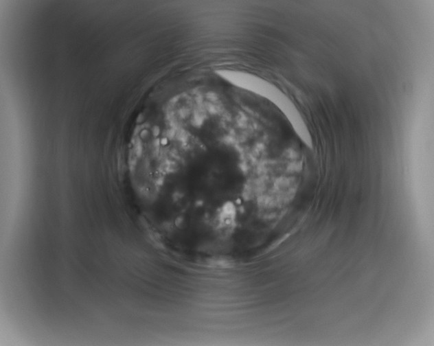 X0000115160475200911241552