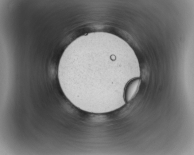 X0000115160476200911241552