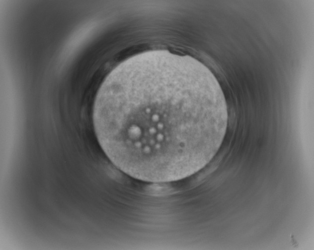 X0000115160477200911241552