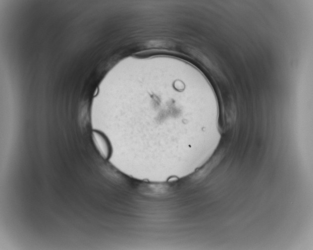 X0000115160478200911241552