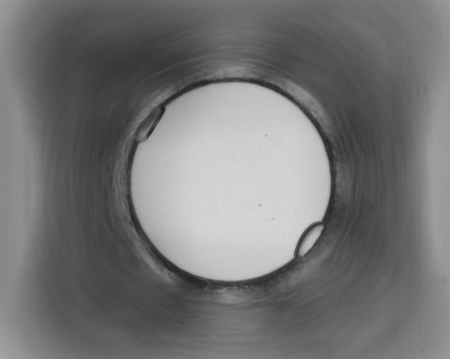 X0000115160481200911241552