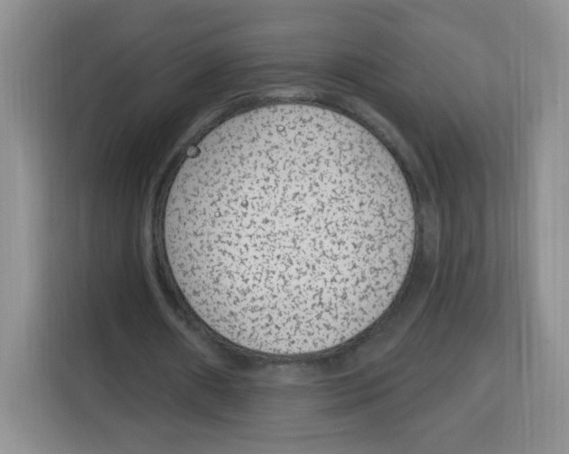 X0000115160482200911241552