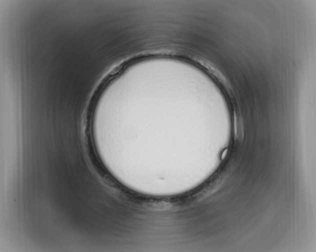 X0000115160483200911241552