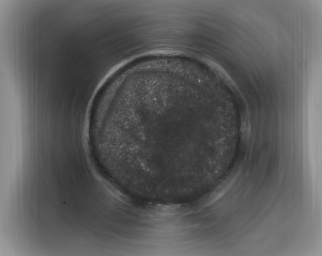 X0000115160484200911241552