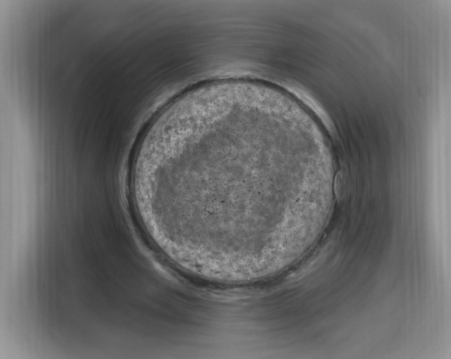 X0000115160485200911241552