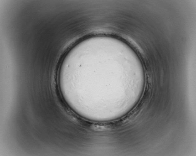 X0000115160487200911241552