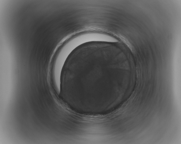 X0000115160488200911241552