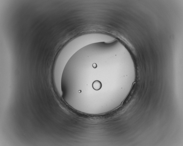 X0000115160489200911241552