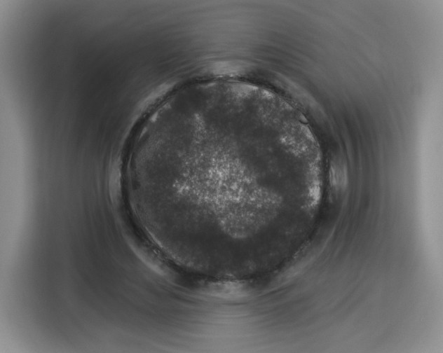 X0000115160492200911241552