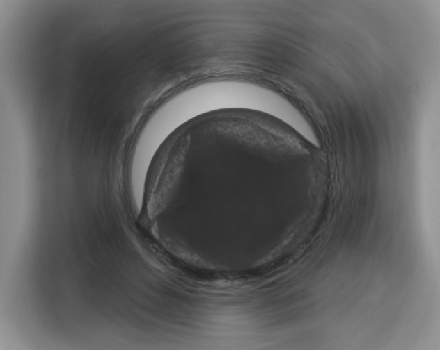 X0000115160496200911241552