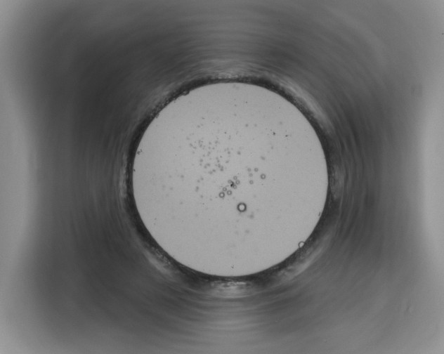 X0000115160497200911241552