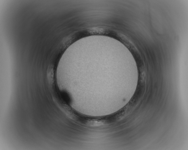 X0000115160498200911241552