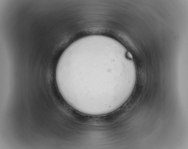 X0000115160499200911241552