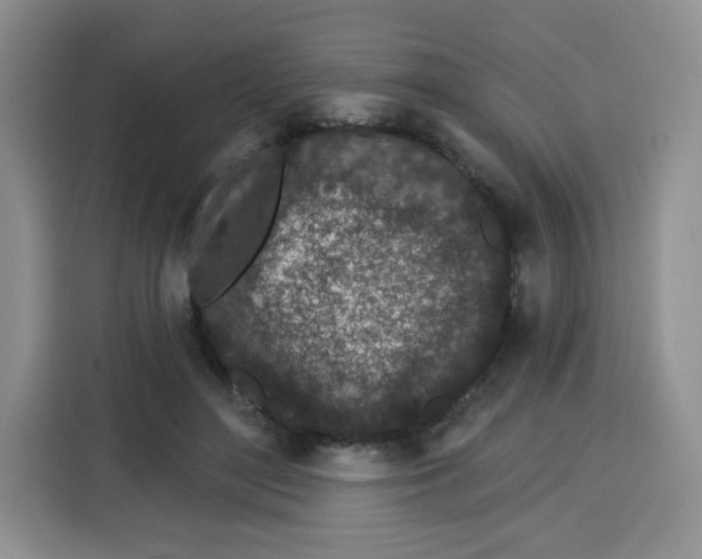 X0000115160500200911241552