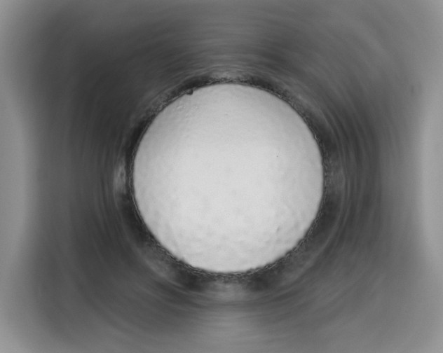 X0000115160502200911241552