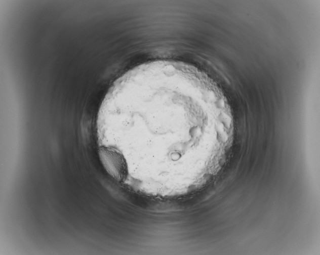 X0000115160503200911241552