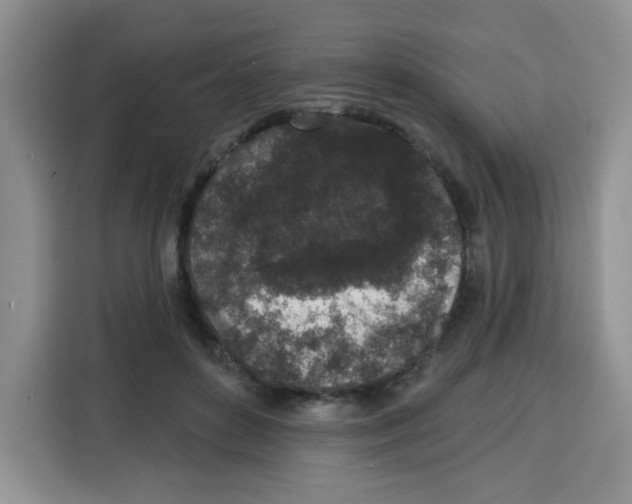 X0000115160504200911241552