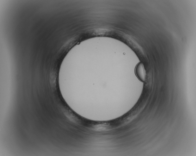 X0000115160505200911241552