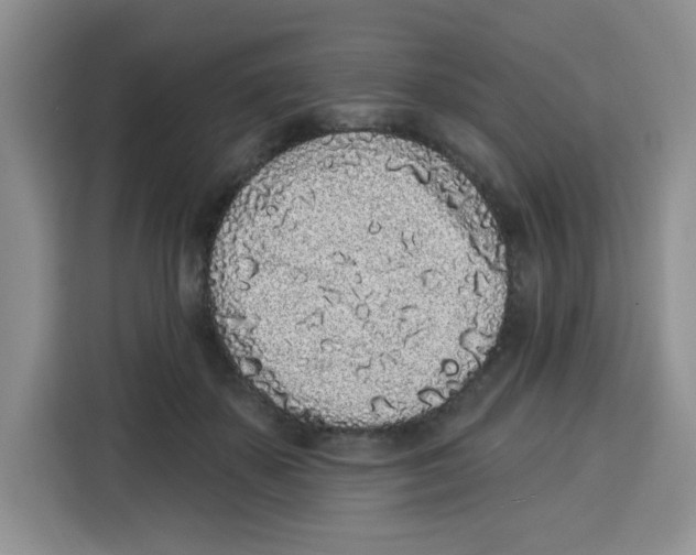 X0000115160507200911241552