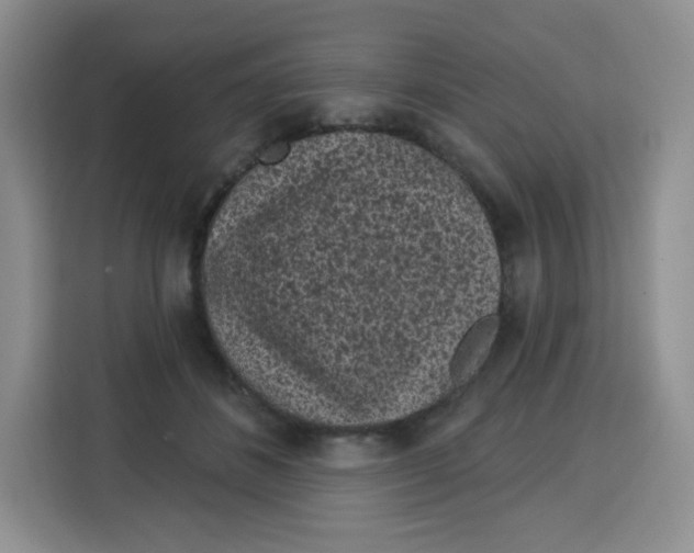 X0000115160508200911241552