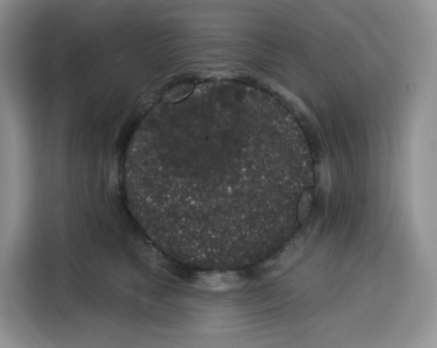 X0000115160517200911241551