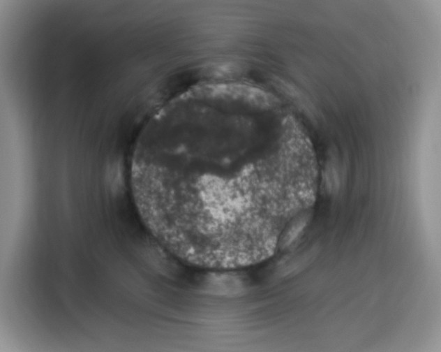 X0000115160520200911241551