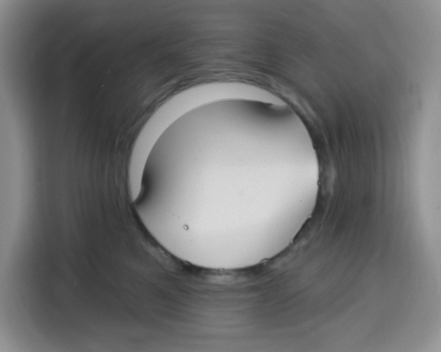 X0000115160521200911241551