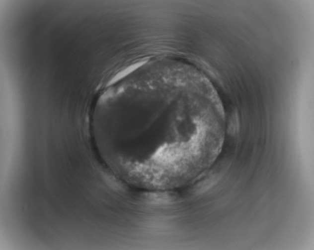 X0000115160524200911241551