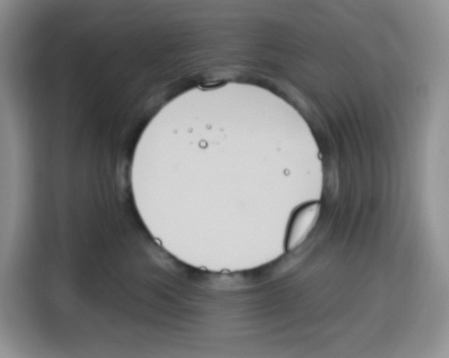 X0000115160525200911241551