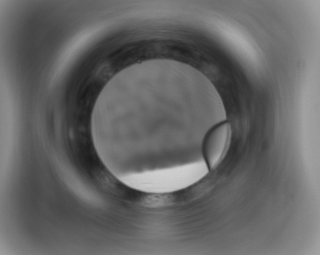 X0000115160526200911241551