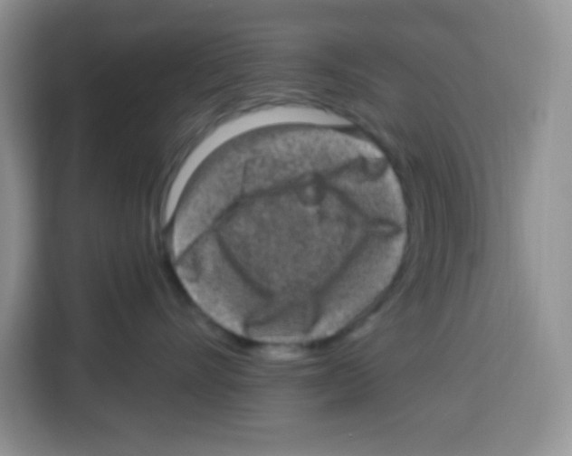 X0000115160528200911241551