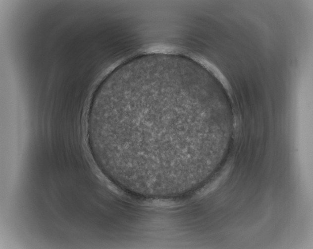 X0000115160529200911241551