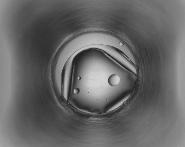 X0000115160534200911241551