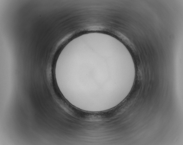 X0000115160535200911241551