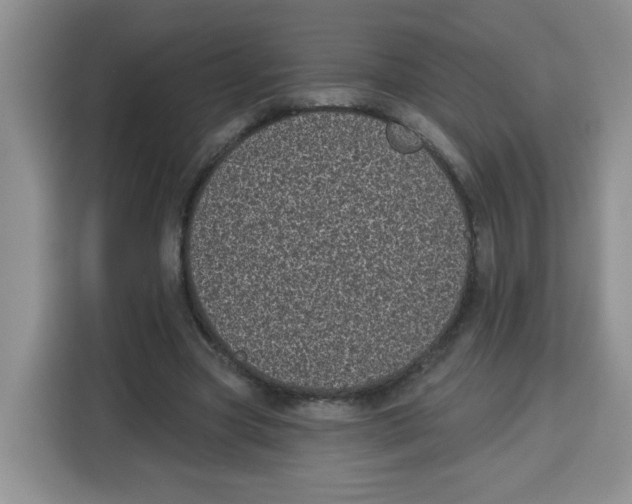 X0000115160537200911241551