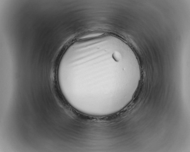 X0000115160539200911241551