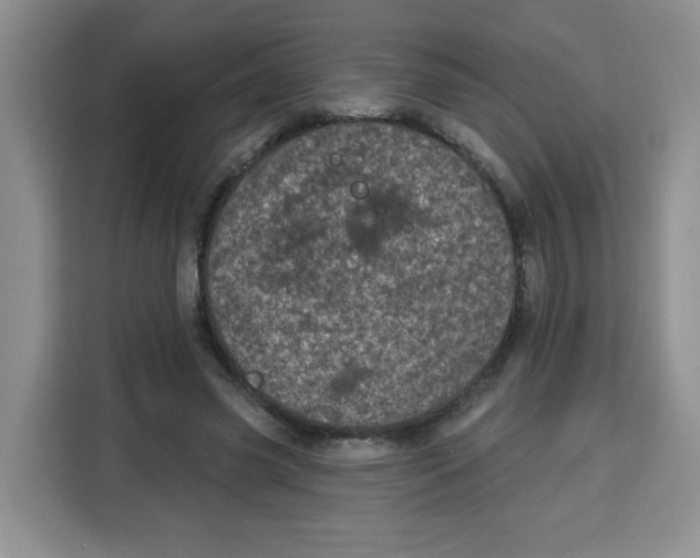 X0000115160541200911241551