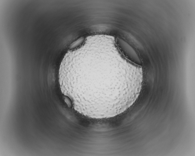 X0000115160546200911241551