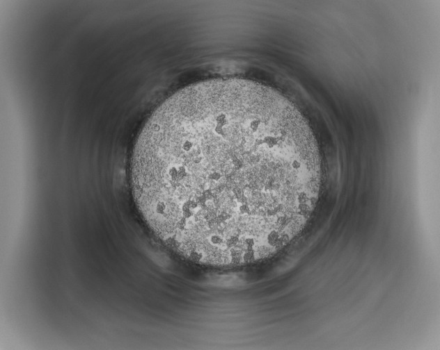 X0000115160553200911241551