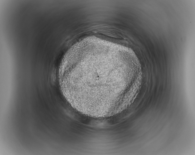 X0000115160554200911241551