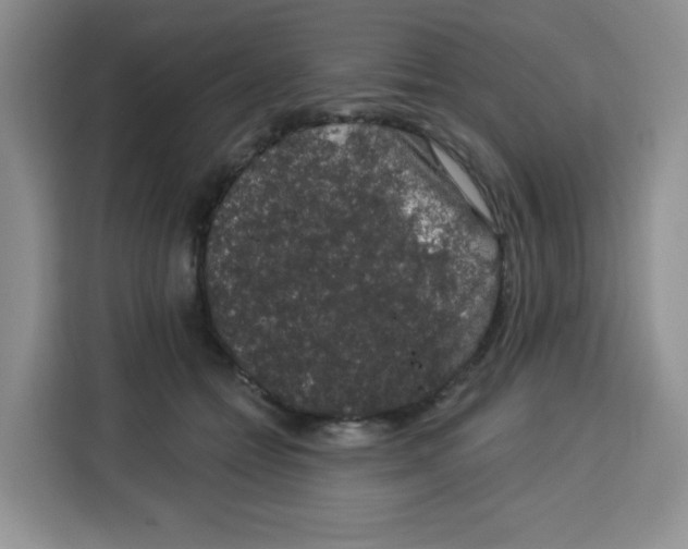 X0000115160558200911241551