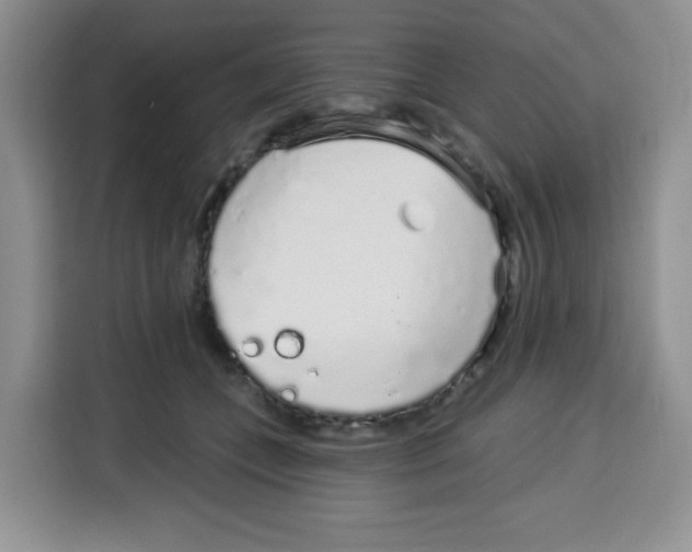 X0000115160559200911241551