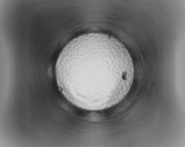 X0000115160562200911241551