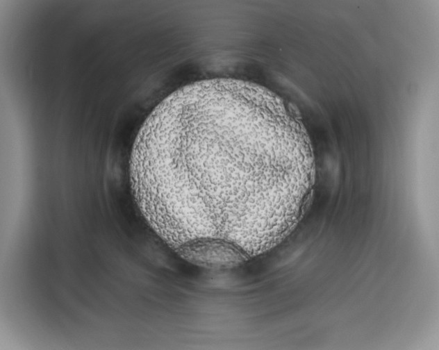 X0000115160566200911241551