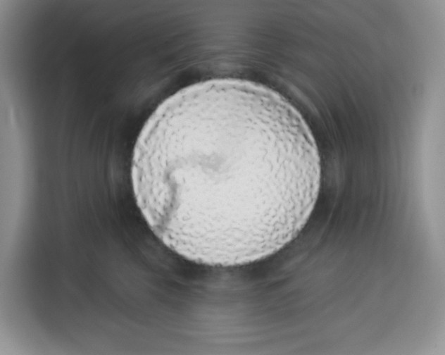 X0000115160569200911241551