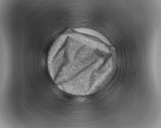 X0000115160570200911241551