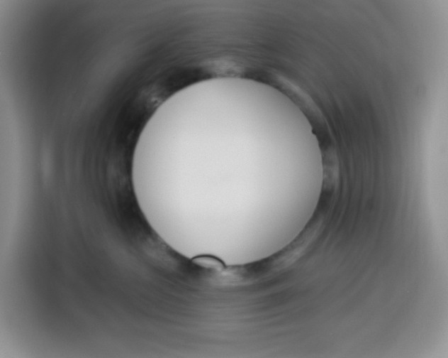 X0000115160573200911241551