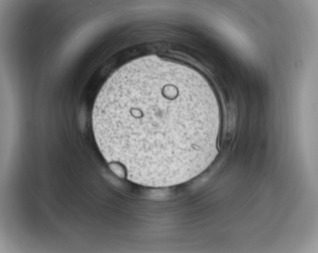 X0000115160574200911241551