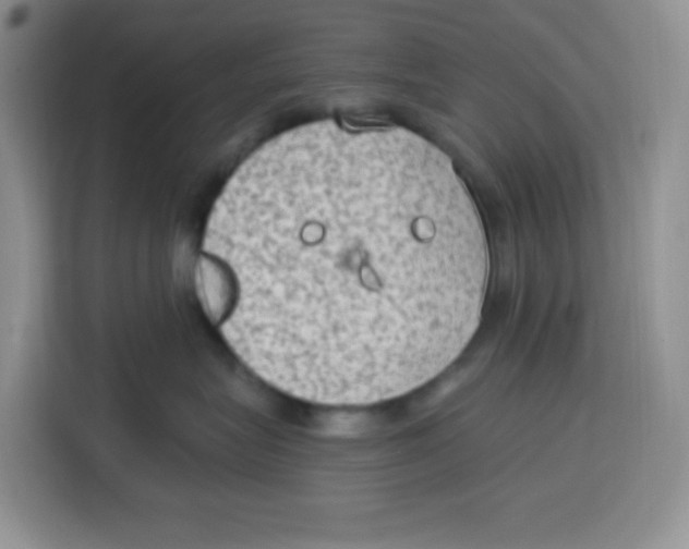 X0000115160575200911241551